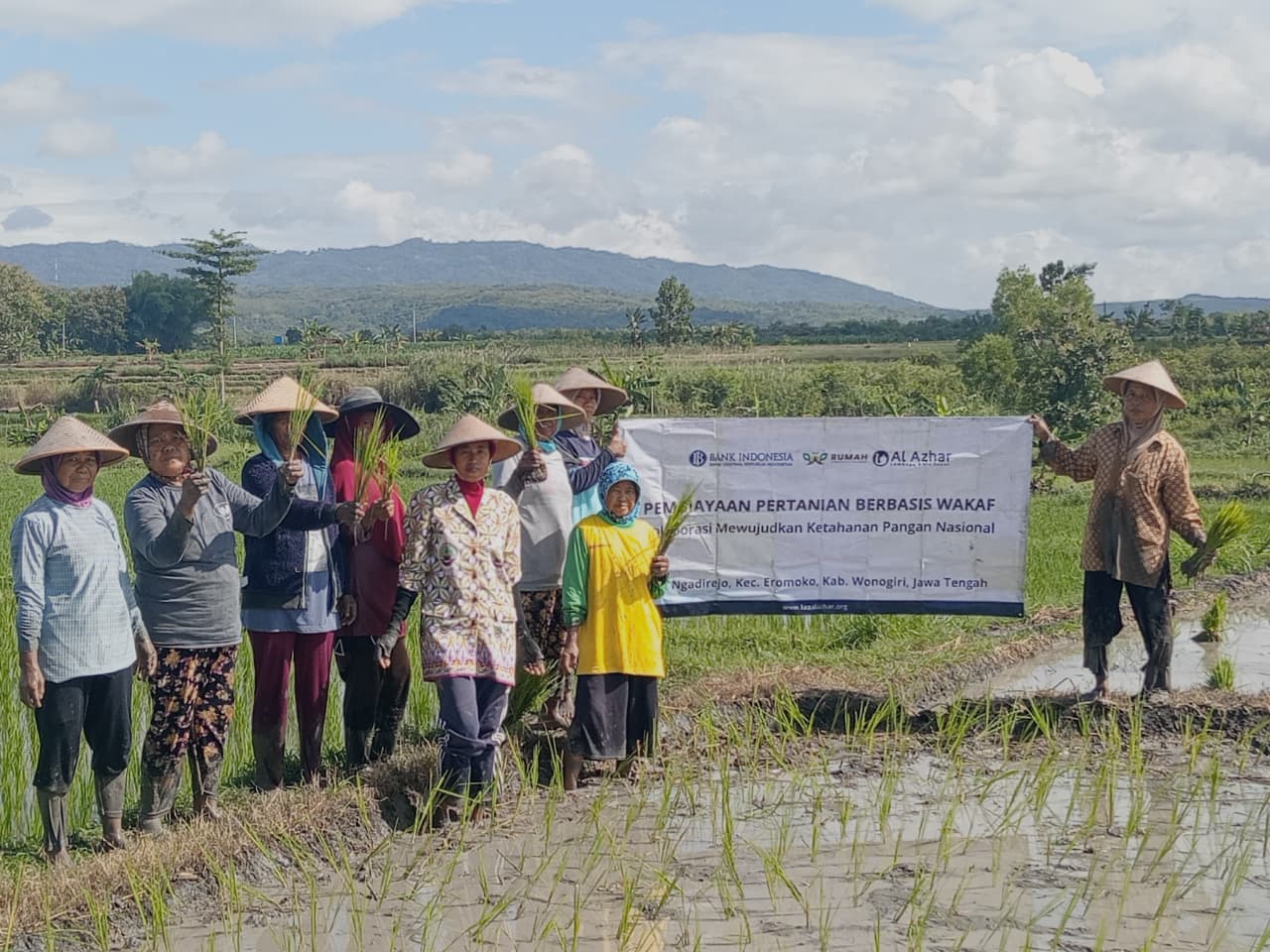 Menggeliat di Tengah Sawah, Petani Ngadirejo Sambut Musim Tanam dengan Optimisme